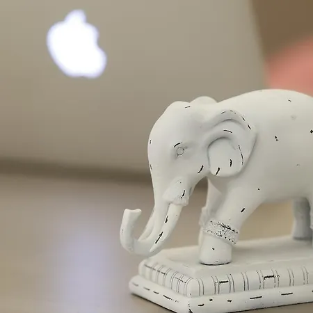 Hotel Alley Boutique Hotel&spa 4*